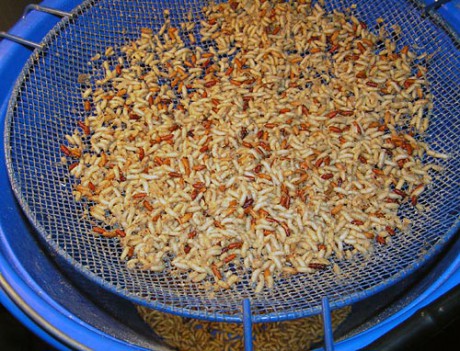 Tady Keskík cedí olej na olej.jpg